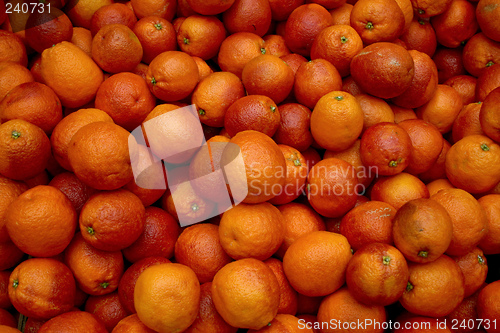 Image of Bloody oranges 1