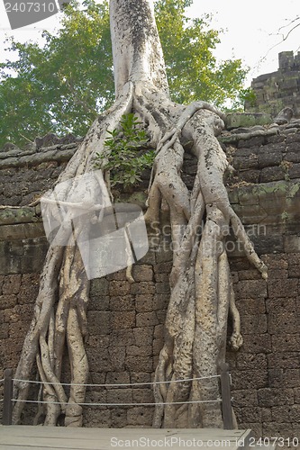 Image of Cambodia.Angkor Wat.