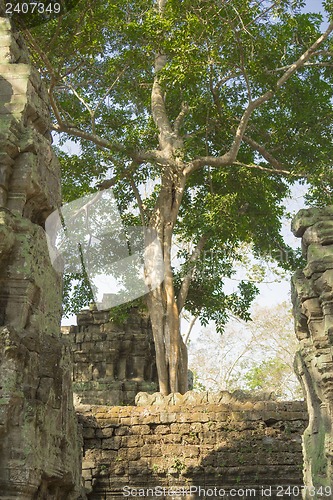 Image of Cambodia.Angkor Wat.