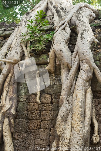 Image of Cambodia.Angkor Wat.