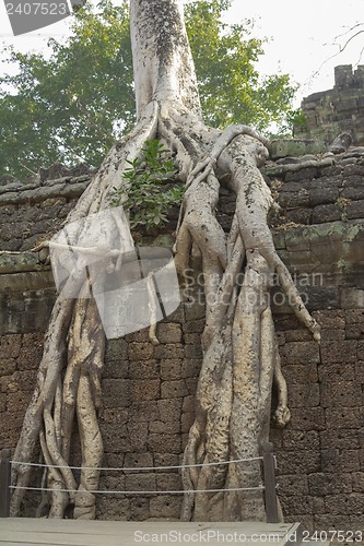 Image of Cambodia.Angkor Wat.