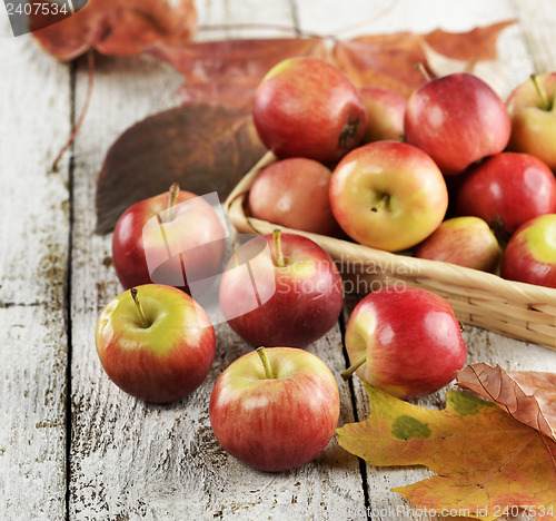 Image of Red Apples