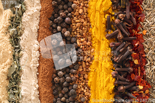 Image of Curry spices