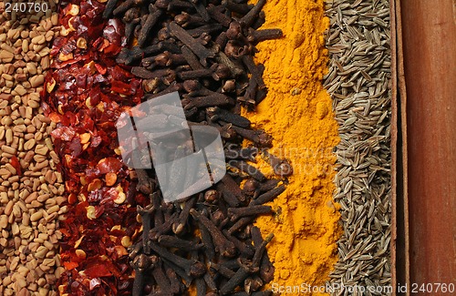 Image of Curry spices 2