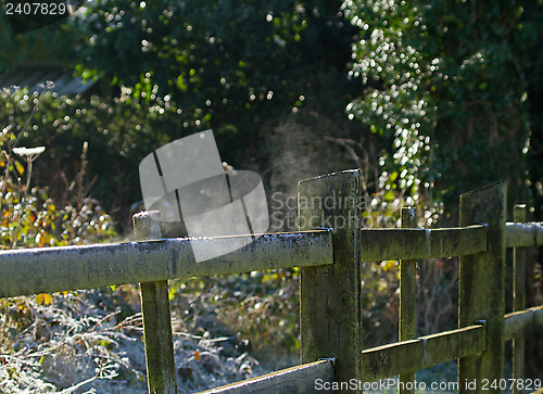 Image of Fence Steaming in Frosty Weather