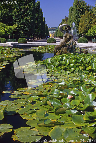 Image of Palace Schonbrunn, Vienna