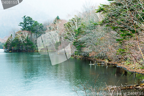 Image of Lake in forest