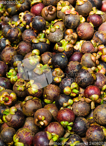 Image of Mangosteen