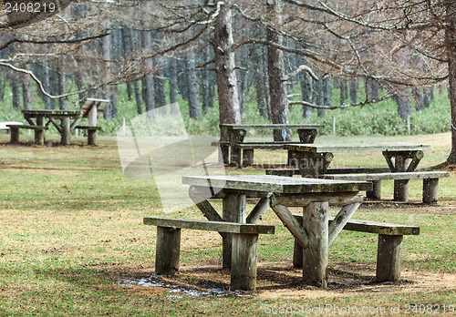 Image of Picnic area in forest