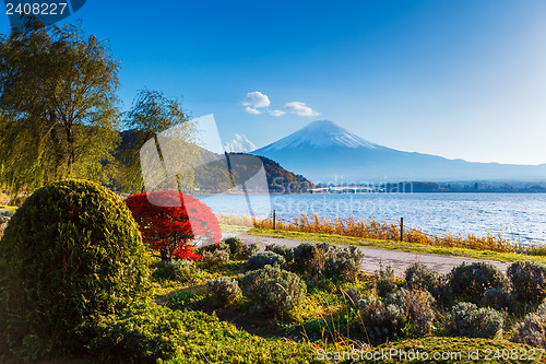 Image of Mt. Fuji in autumn