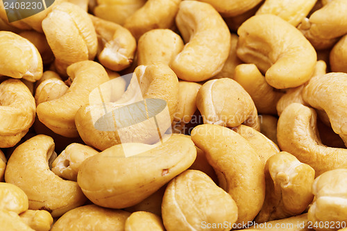 Image of Fresh cashew nuts close up