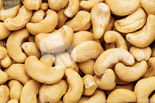Image of Fresh cashew nuts