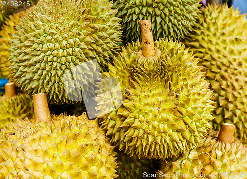 Image of Durian