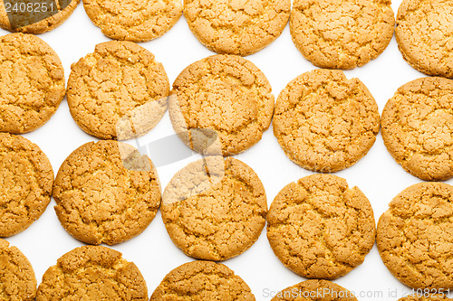 Image of Cookie