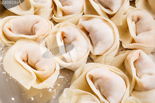 Image of Chinese dumpling close up