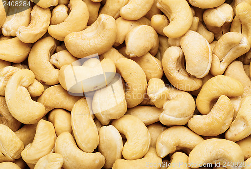 Image of Fresh cashew nuts close up