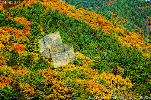 Image of Autumn mountain
