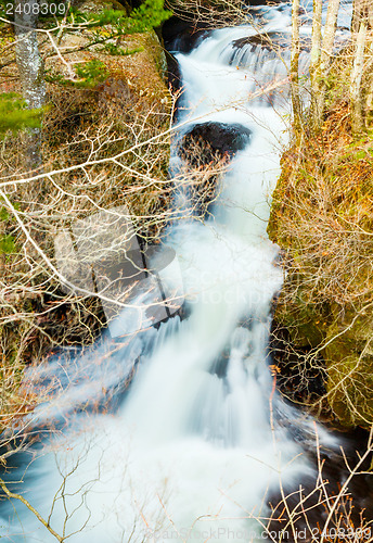 Image of River in forest