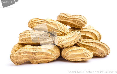 Image of Peanut isolated on white