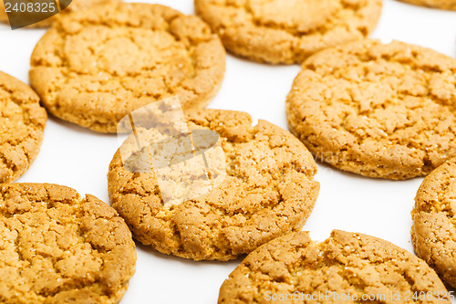 Image of Cookie close up