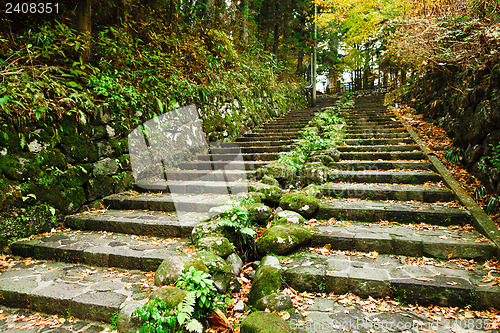 Image of Pathway through the autumn forest