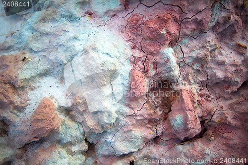 Image of cambrian clay