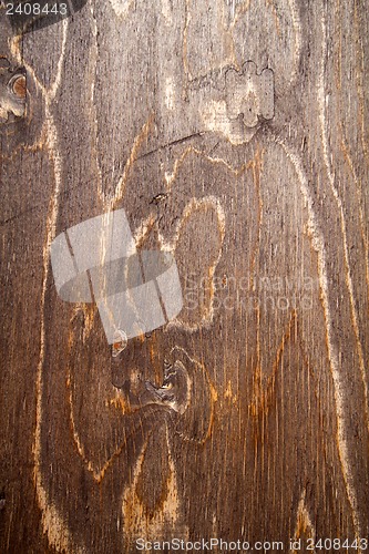 Image of wood texture 5