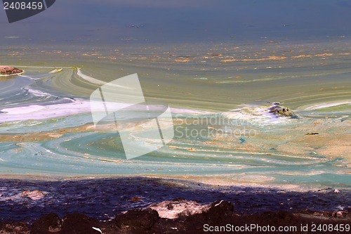 Image of Algae polluted water (  green scum)