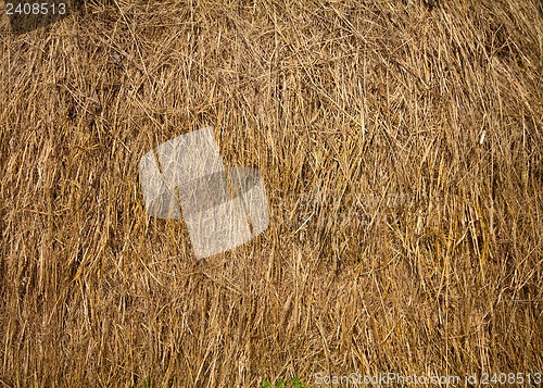 Image of Dry hay