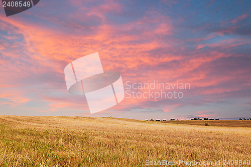 Image of Beautiful sunset over field