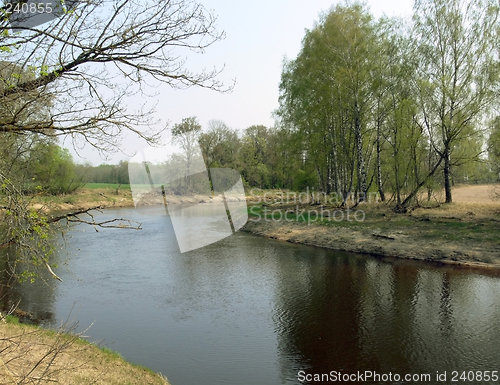 Image of Spring scene