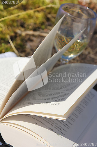 Image of Book and Wine