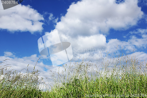 Image of Blue Sky