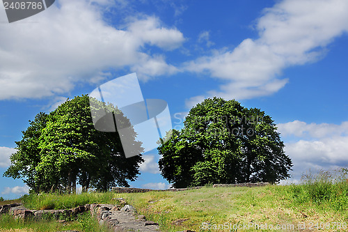 Image of Green Tree