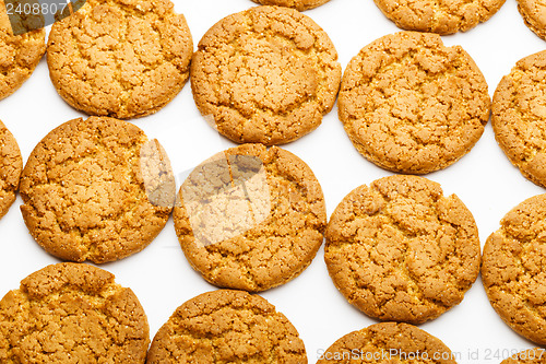 Image of Cookie