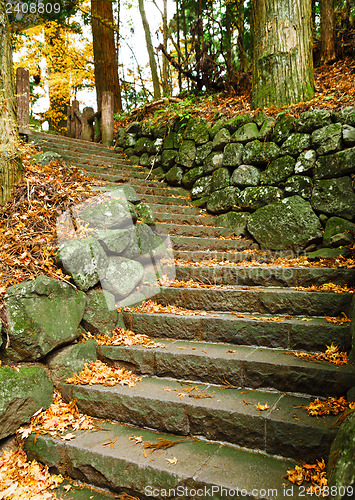 Image of Pathway through the autumn forest