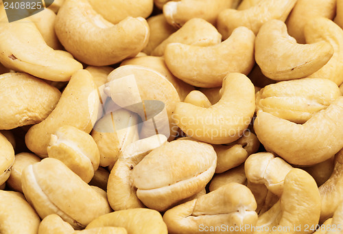 Image of Fresh cashew nuts close up