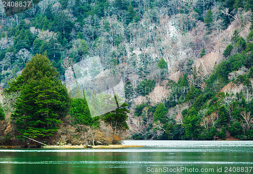 Image of Lake in forest