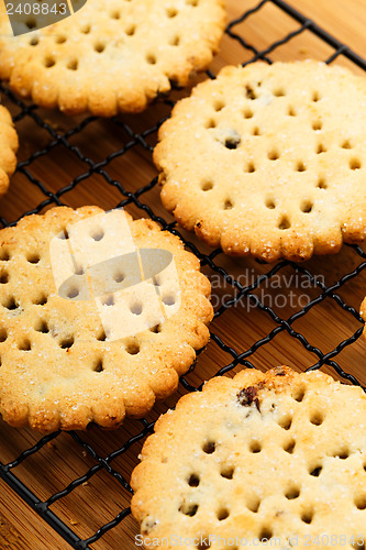 Image of Homemade Raisin cookies