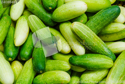 Image of Green Cucumbers