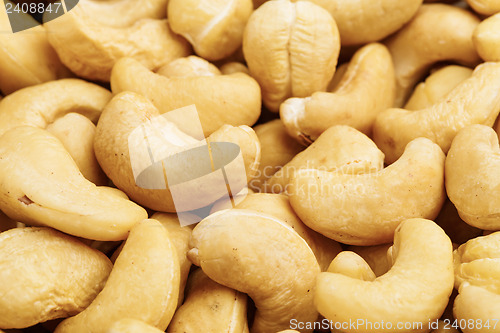 Image of Fresh cashew nuts close up