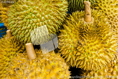 Image of Group of durian