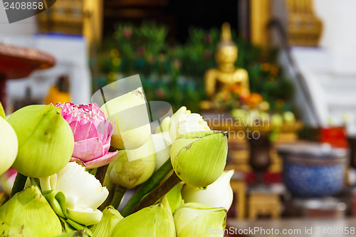 Image of Lotus bud in thailand temple