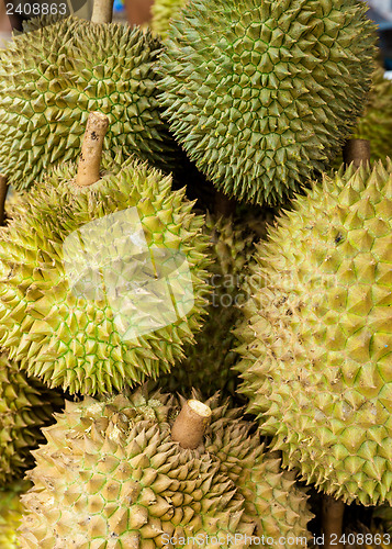 Image of Durian