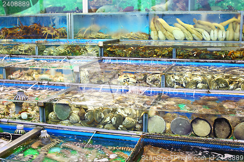 Image of Fish tank in market at Hong Kong