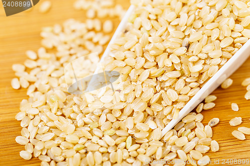 Image of Brown rice