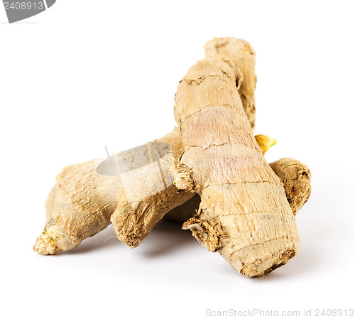 Image of Ginger