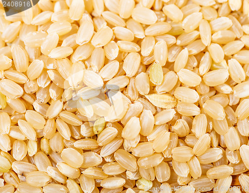 Image of Brown rice