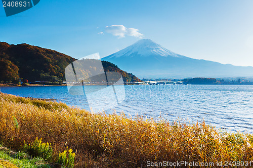 Image of Mt. Fuji with lake in autumn