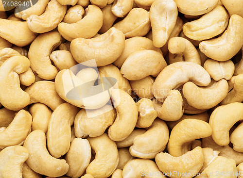 Image of Fresh cashew nuts